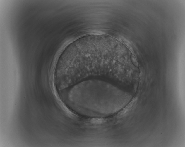 X0000111860145200908201304