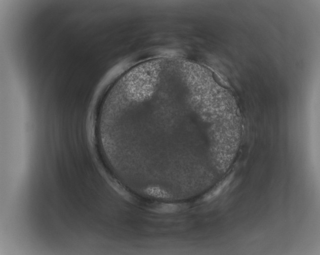 X0000111860149200908201304