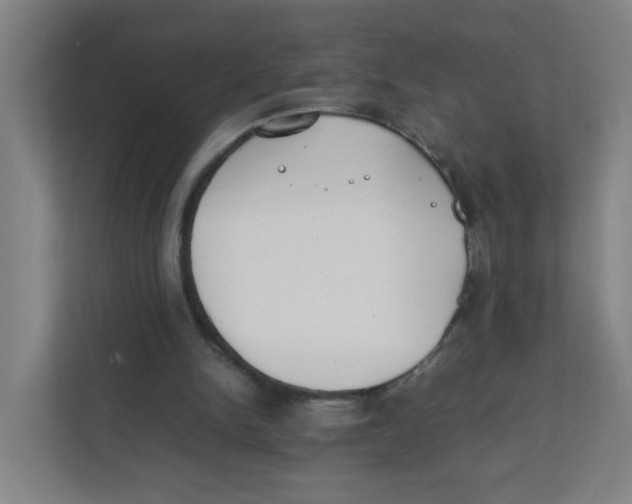 X0000111860150200908201304