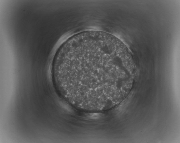 X0000111860151200908201304