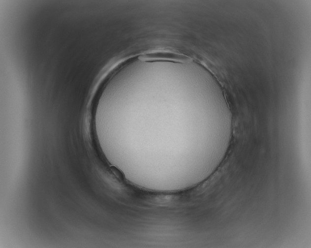 X0000111860152200908201304