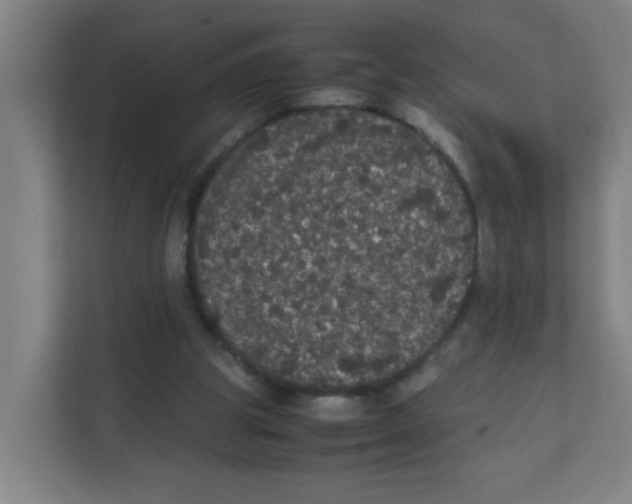 X0000111860153200908201304