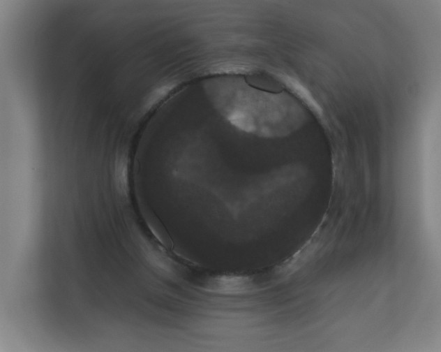X0000111860154200908201305