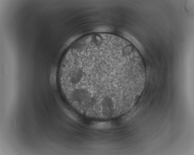 X0000111860155200908201305