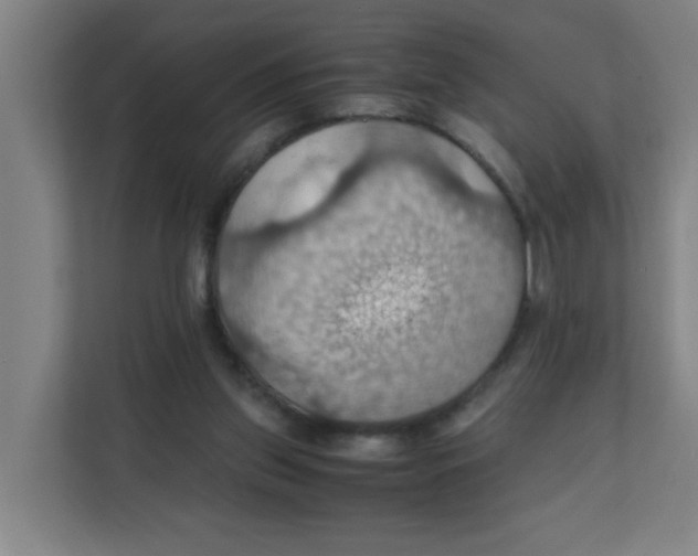 X0000111860157200908201305