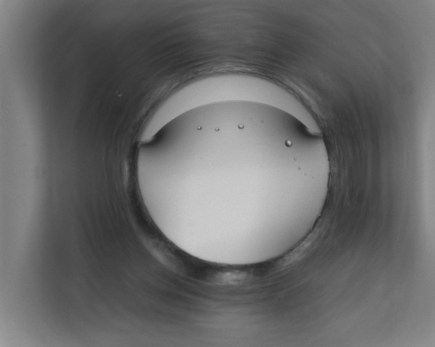 X0000111860158200908201305