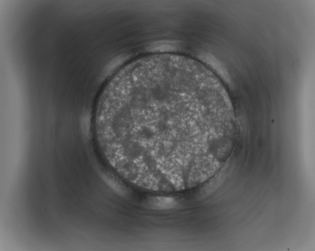 X0000111860159200908201305