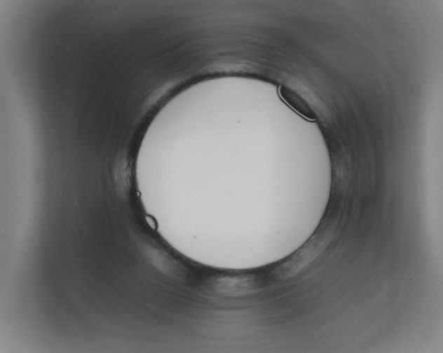 X0000111860160200908201305