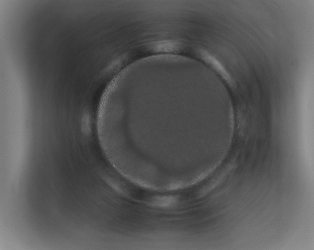 X0000111860161200908201305