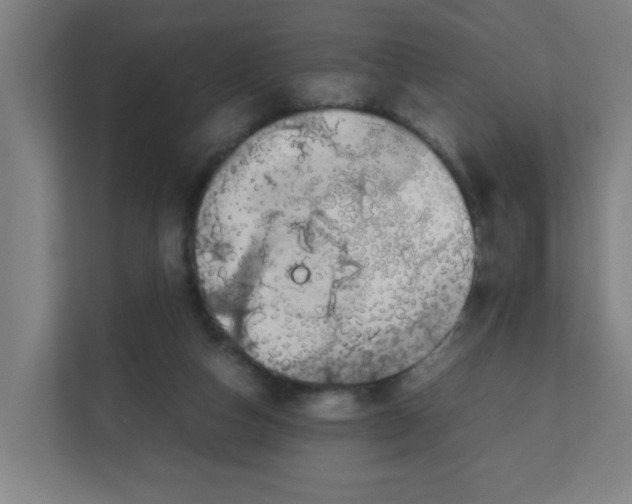 X0000111860162200908201305