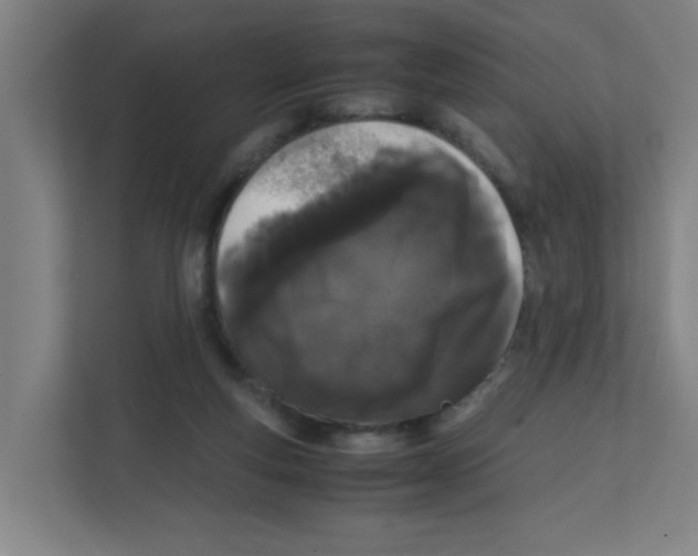 X0000111860163200908201305