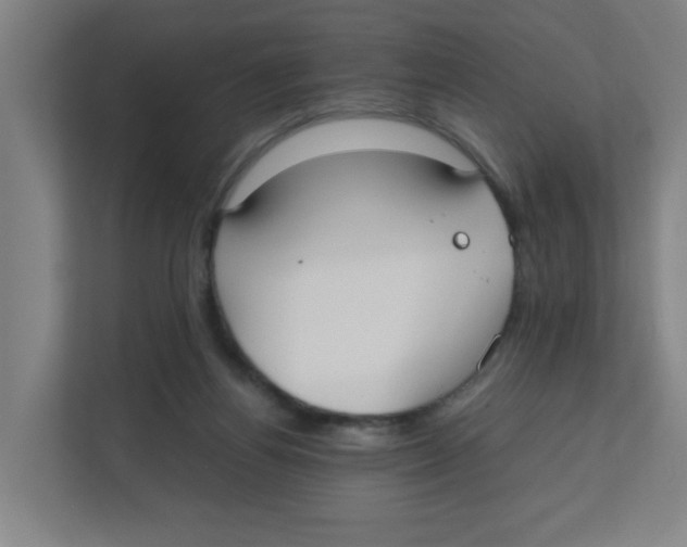 X0000111860164200908201305