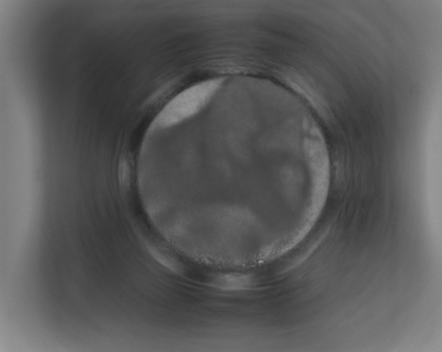 X0000111860165200908201305
