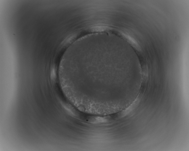 X0000111860166200908201305