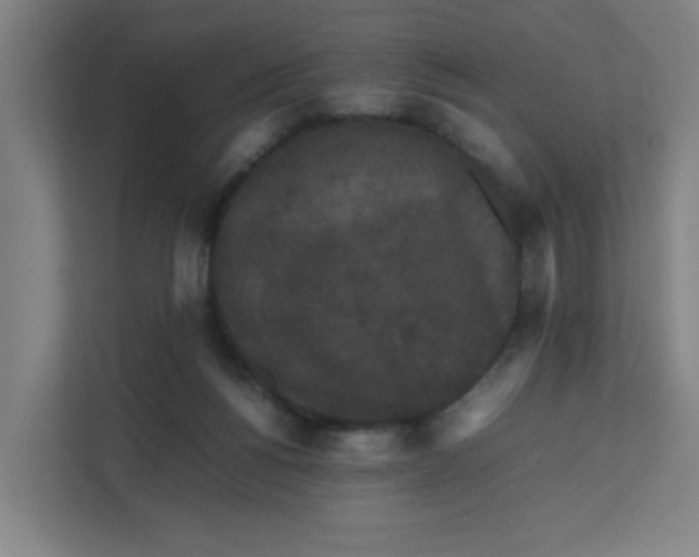 X0000111860168200908201305