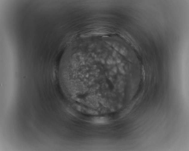 X0000111860169200908201305