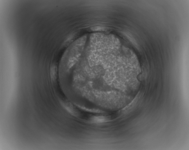 X0000111860171200908201305