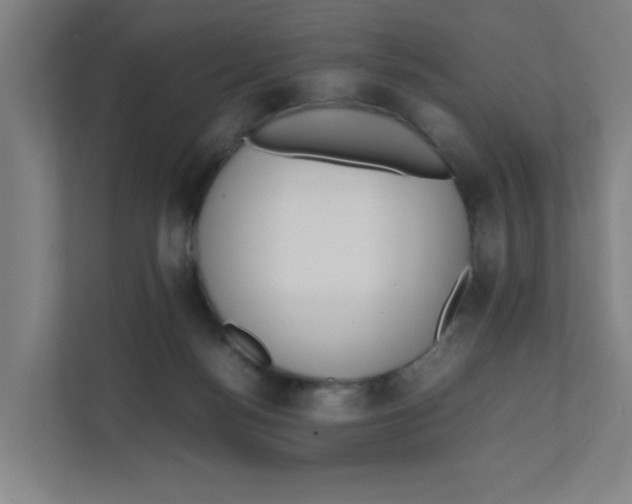 X0000111860172200908201305