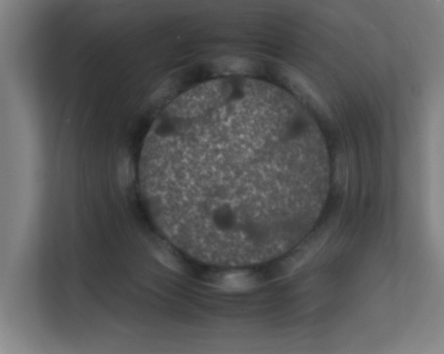 X0000111860173200908201305