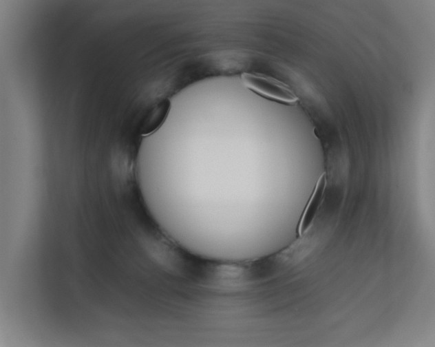 X0000111860176200908201305