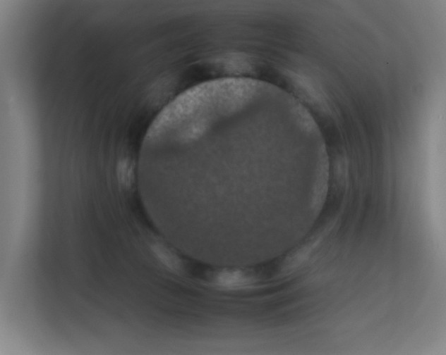 X0000111860177200908201305