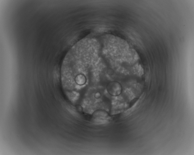 X0000111860179200908201305