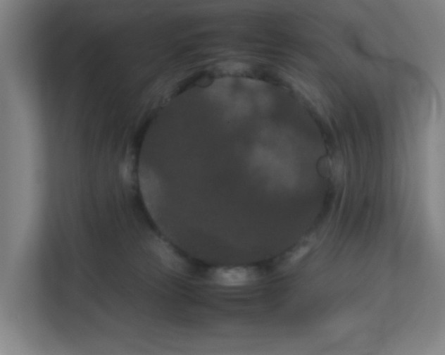 X0000111860181200908201305