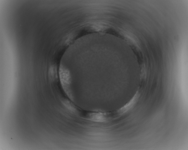 X0000111860182200908201305