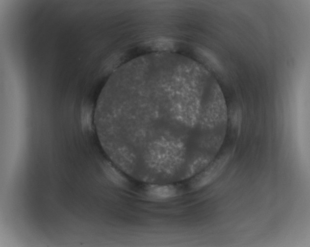X0000111860185200908201305
