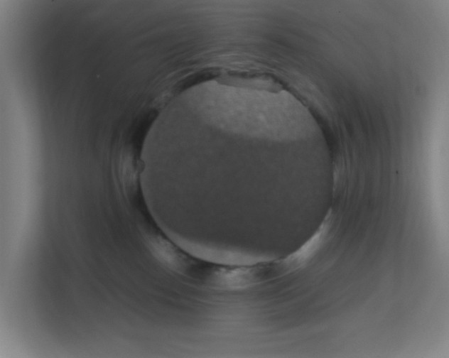 X0000111860186200908201305