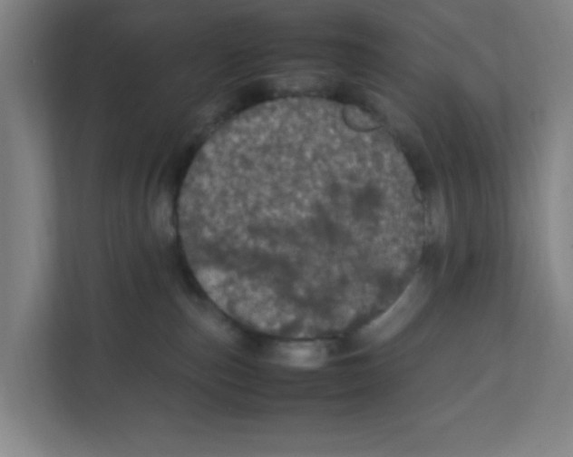 X0000111860187200908201305