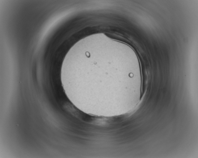 X0000111860190200908201305