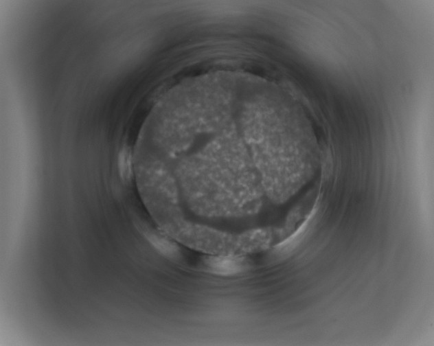 X0000111860191200908201305