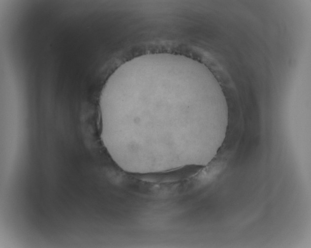 X0000111860192200908201305