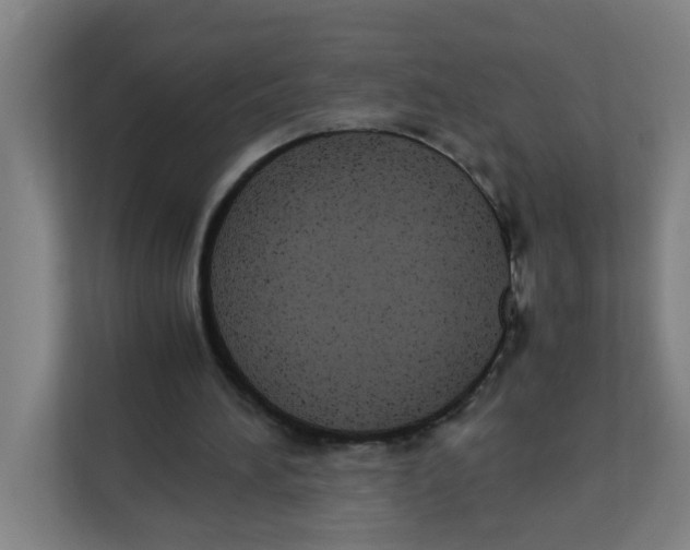 X0000111860196200908201304