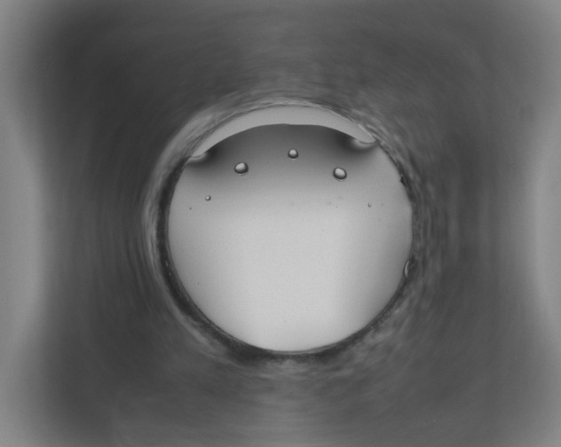 X0000111860197200908201304