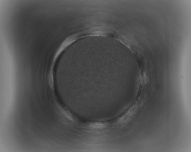 X0000111860198200908201304
