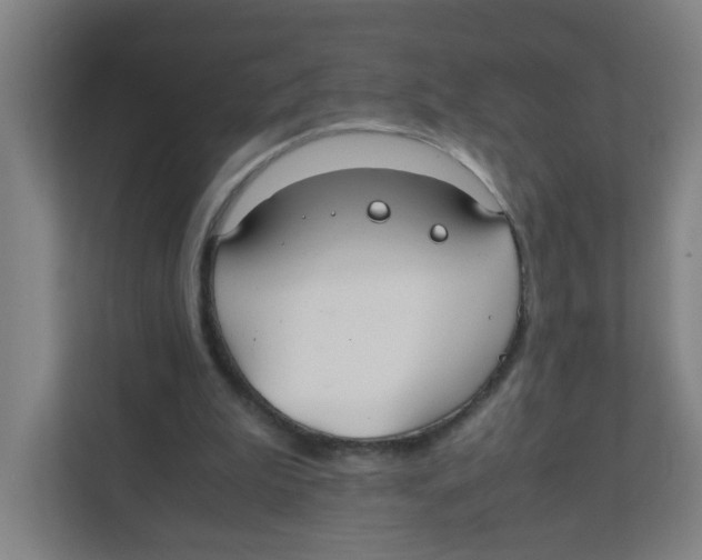 X0000111860199200908201304