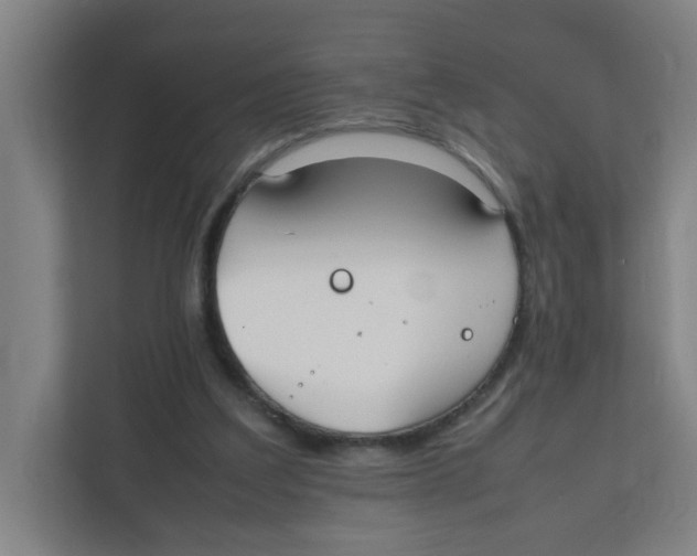 X0000111860203200908201304