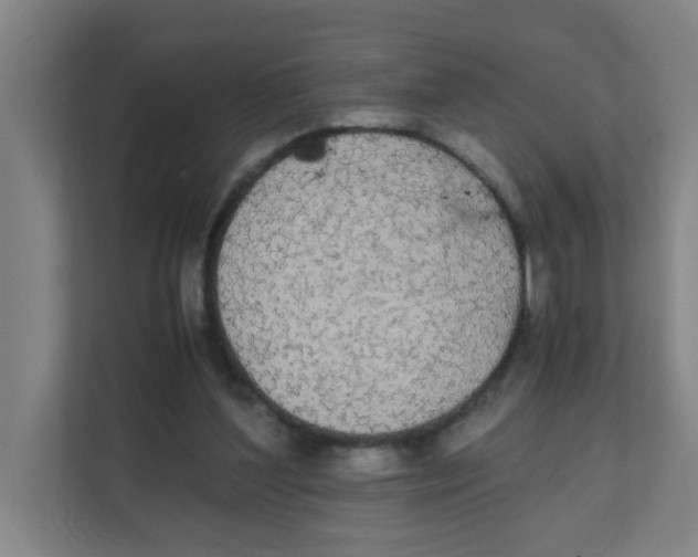 X0000111860204200908201304