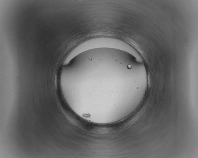 X0000111860205200908201304