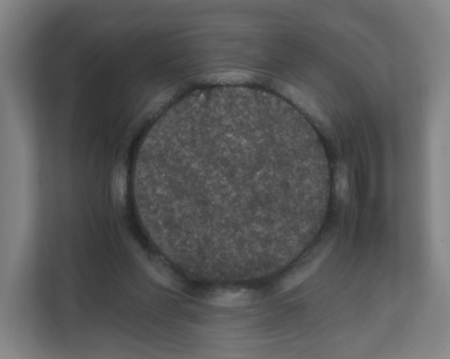 X0000111860206200908201304