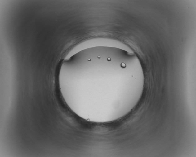 X0000111860207200908201304