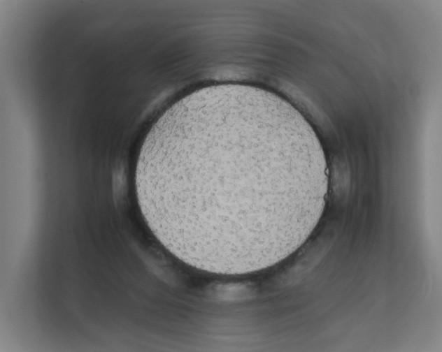 X0000111860208200908201304