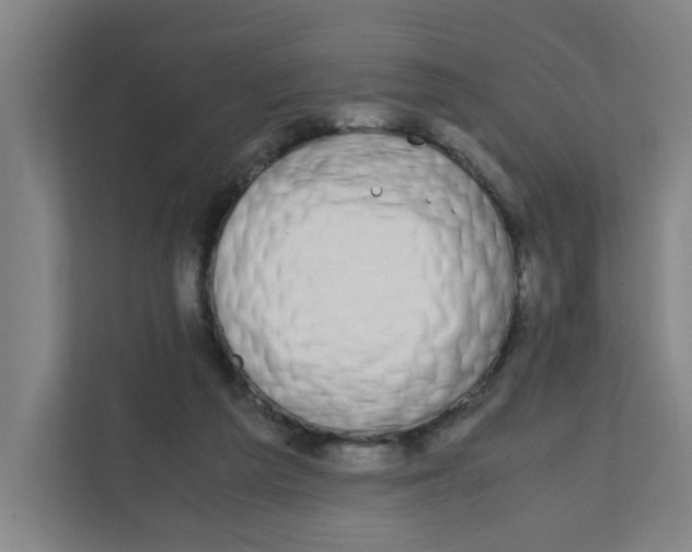 X0000111860209200908201304