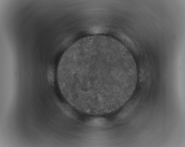 X0000111860210200908201304