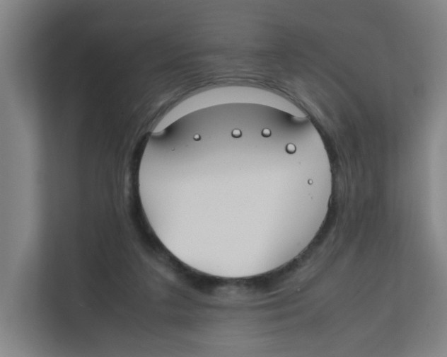 X0000111860211200908201304
