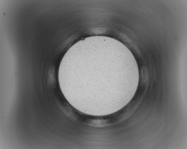 X0000111860212200908201304
