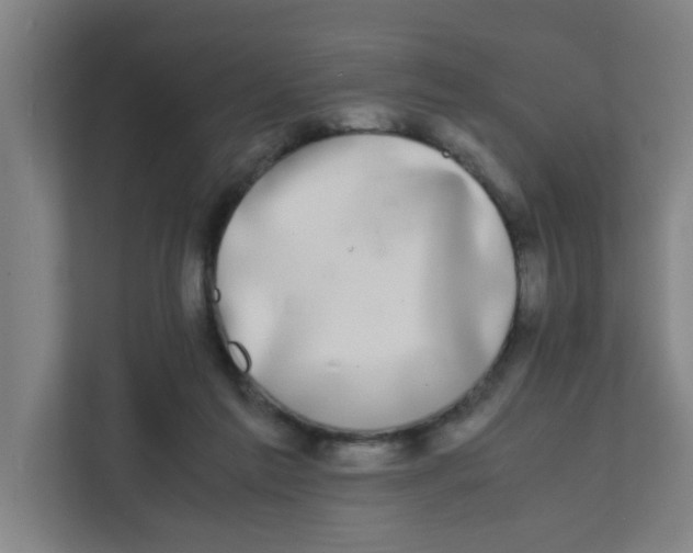 X0000111860213200908201304
