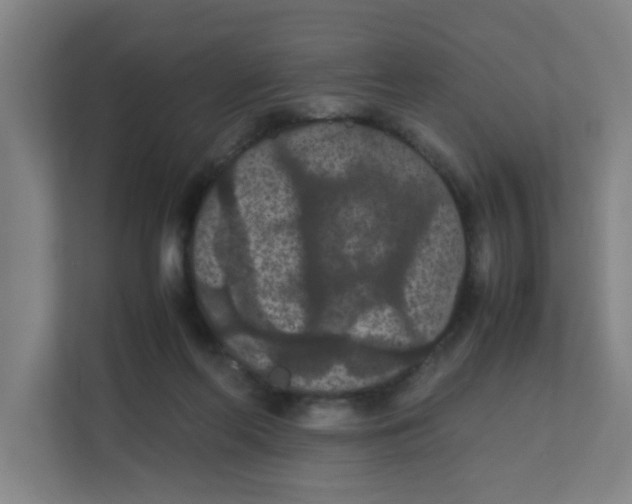 X0000111860214200908201304